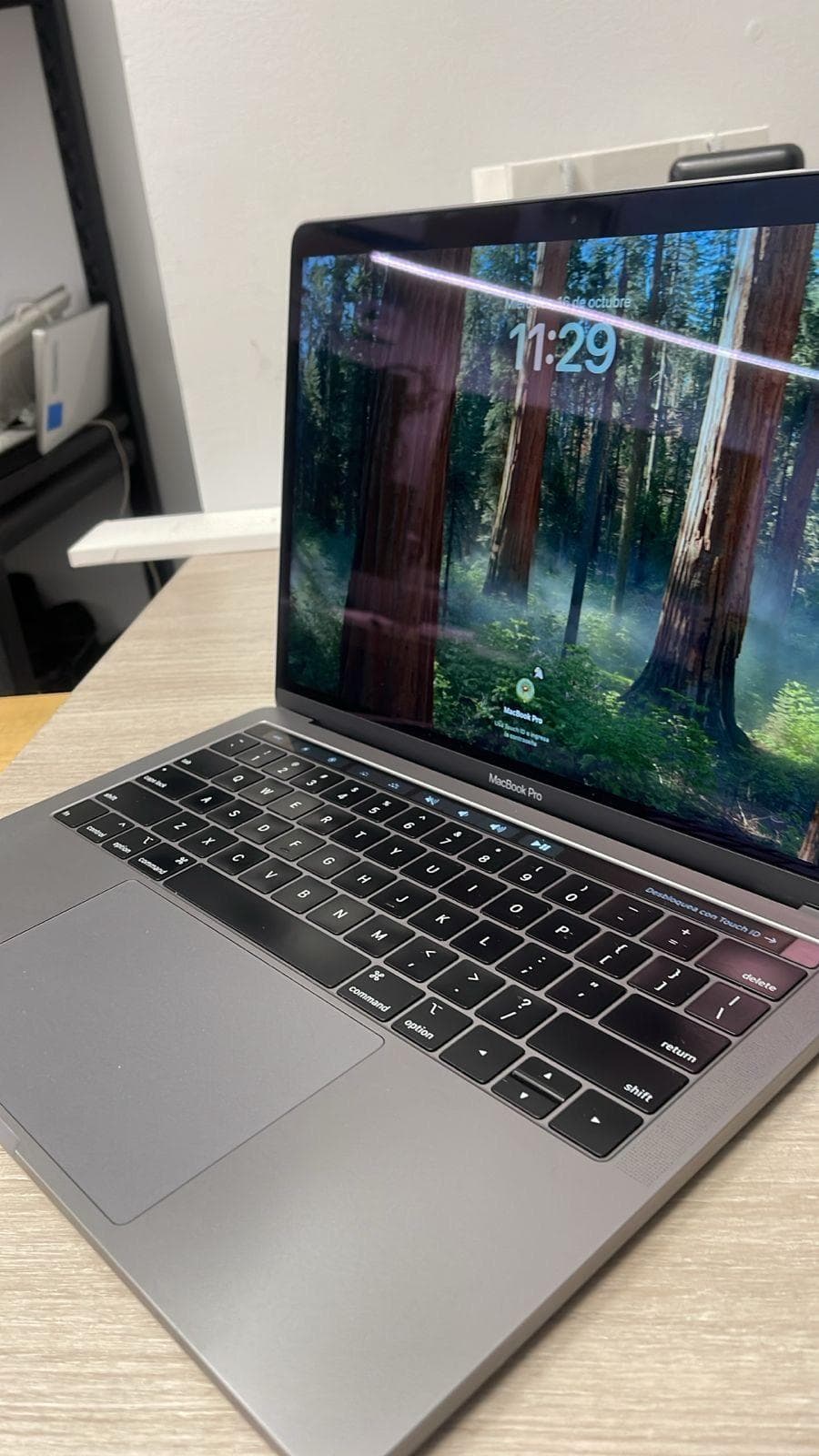 Apple MacBook 13-inch (2019)